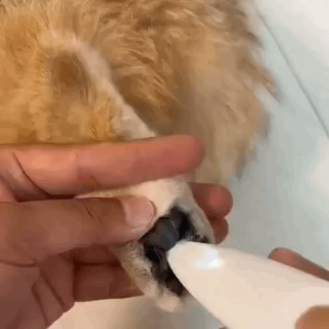 Noreeli™ Katttrimmer Hjälp din katt slippa smärtsamma tovor